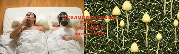спиды Абинск