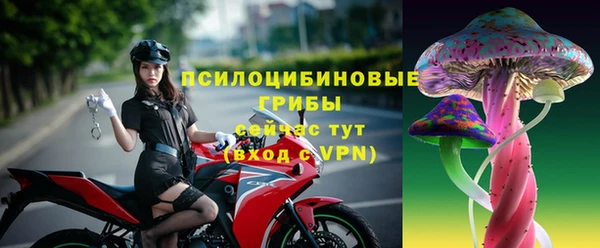 СК Абдулино