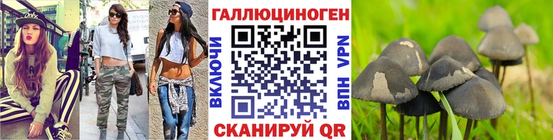 где можно купить   Ефремов  Псилоцибиновые грибы MAGIC MUSHROOMS 