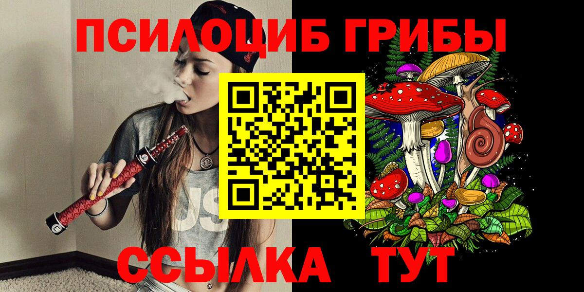 Ефремов  Галлюциногенные грибы ЛСД  Галлюциногенные грибы Psilocybe  Вход с VPN 